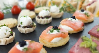 Canapes at The Ark Conference Centre Basingstoke